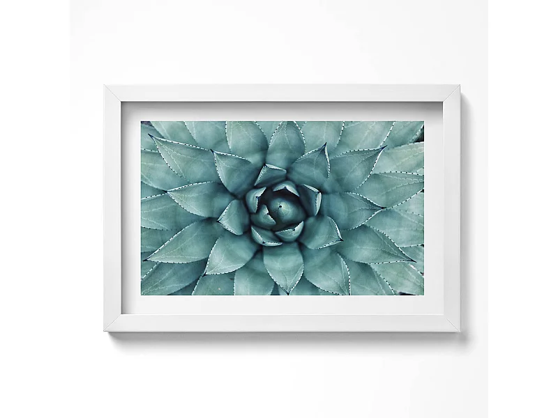 Decoratief schilderij met witte lijst, Groene vetplant 30 x 20 cm - Perfect voor de woon- of slaapkamer