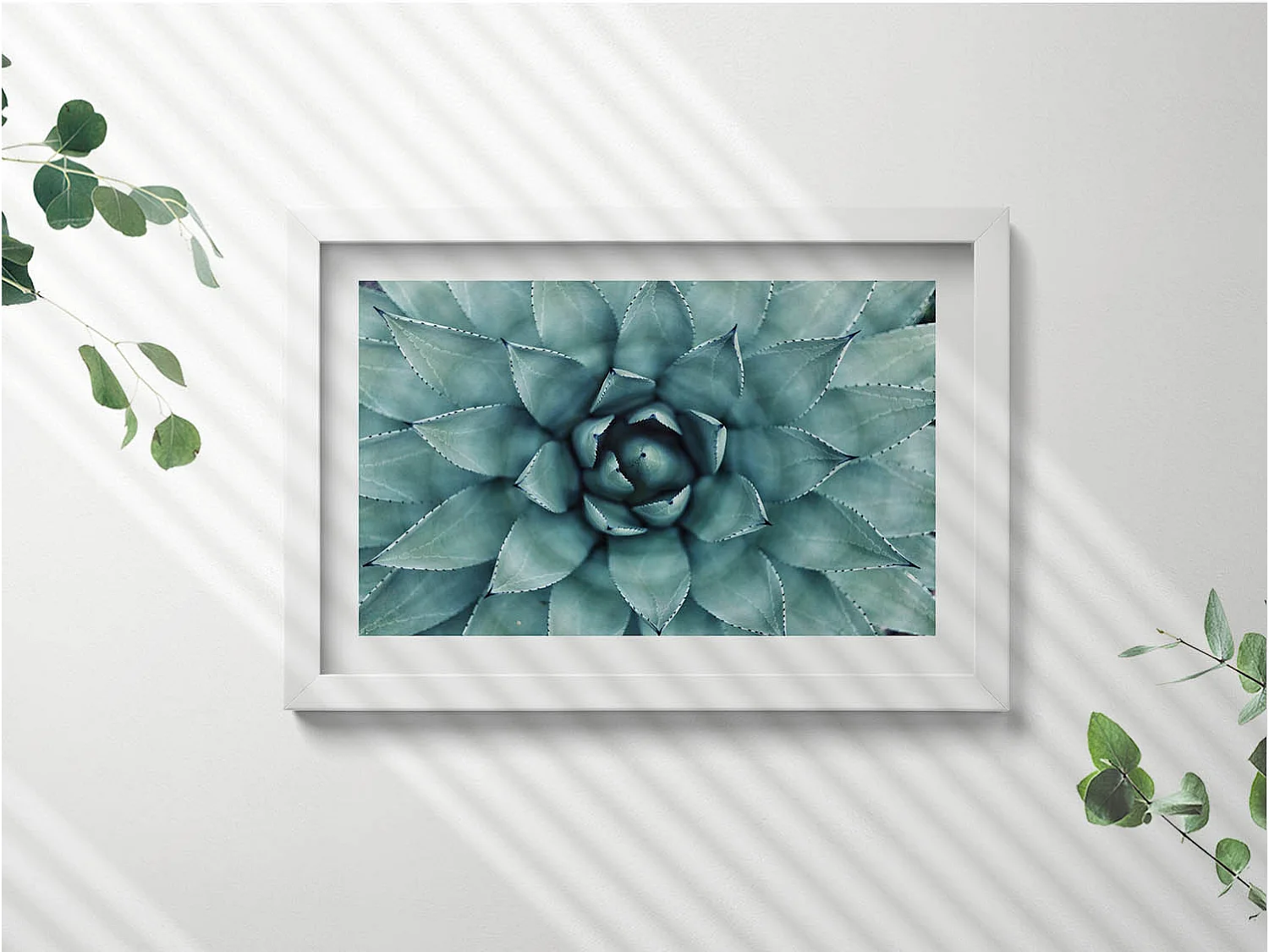 Dekoratives Gemälde mit weißem Rahmen, Grüne Sukkulente 30 x 20 cm – Perfekt für das Wohn- oder Schlafzimmer