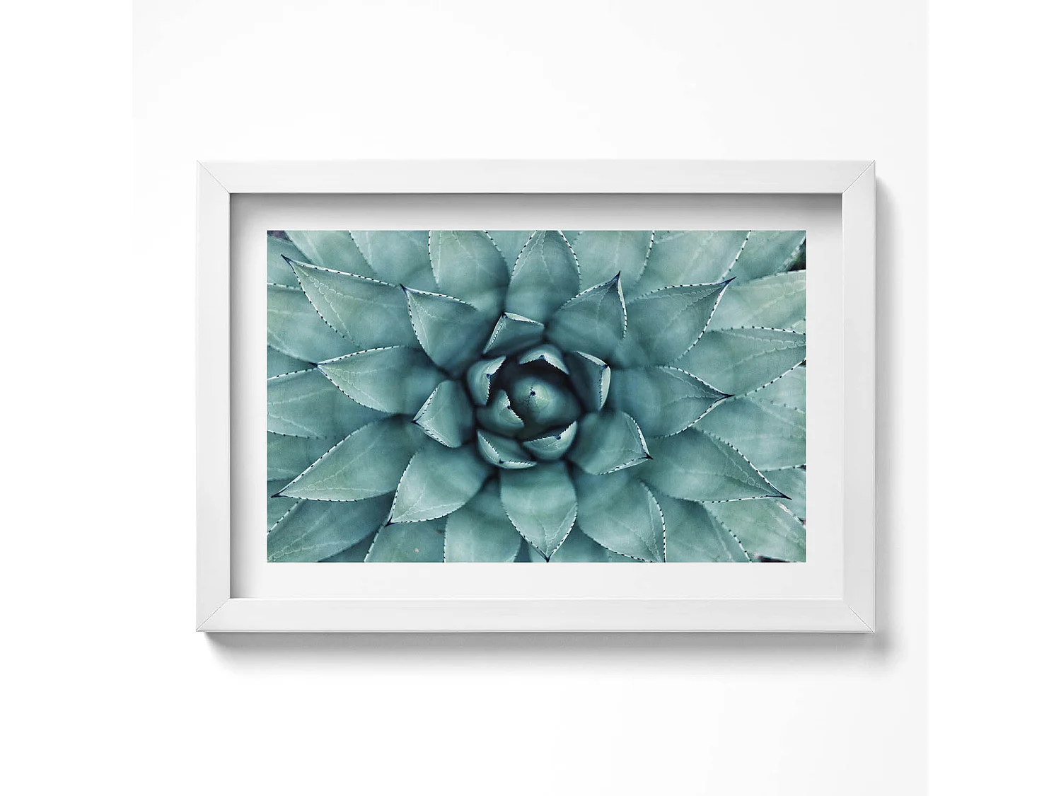 Dekoratives Gemälde mit weißem Rahmen, Grüne Sukkulente 30 x 20 cm – Perfekt für das Wohn- oder Schlafzimmer