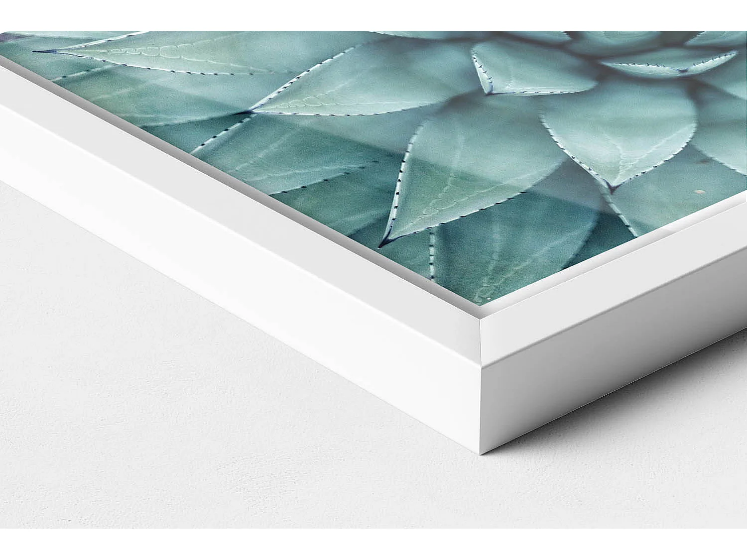 Dekoratives Gemälde mit weißem Rahmen, Grüne Sukkulente 30 x 20 cm – Perfekt für das Wohn- oder Schlafzimmer