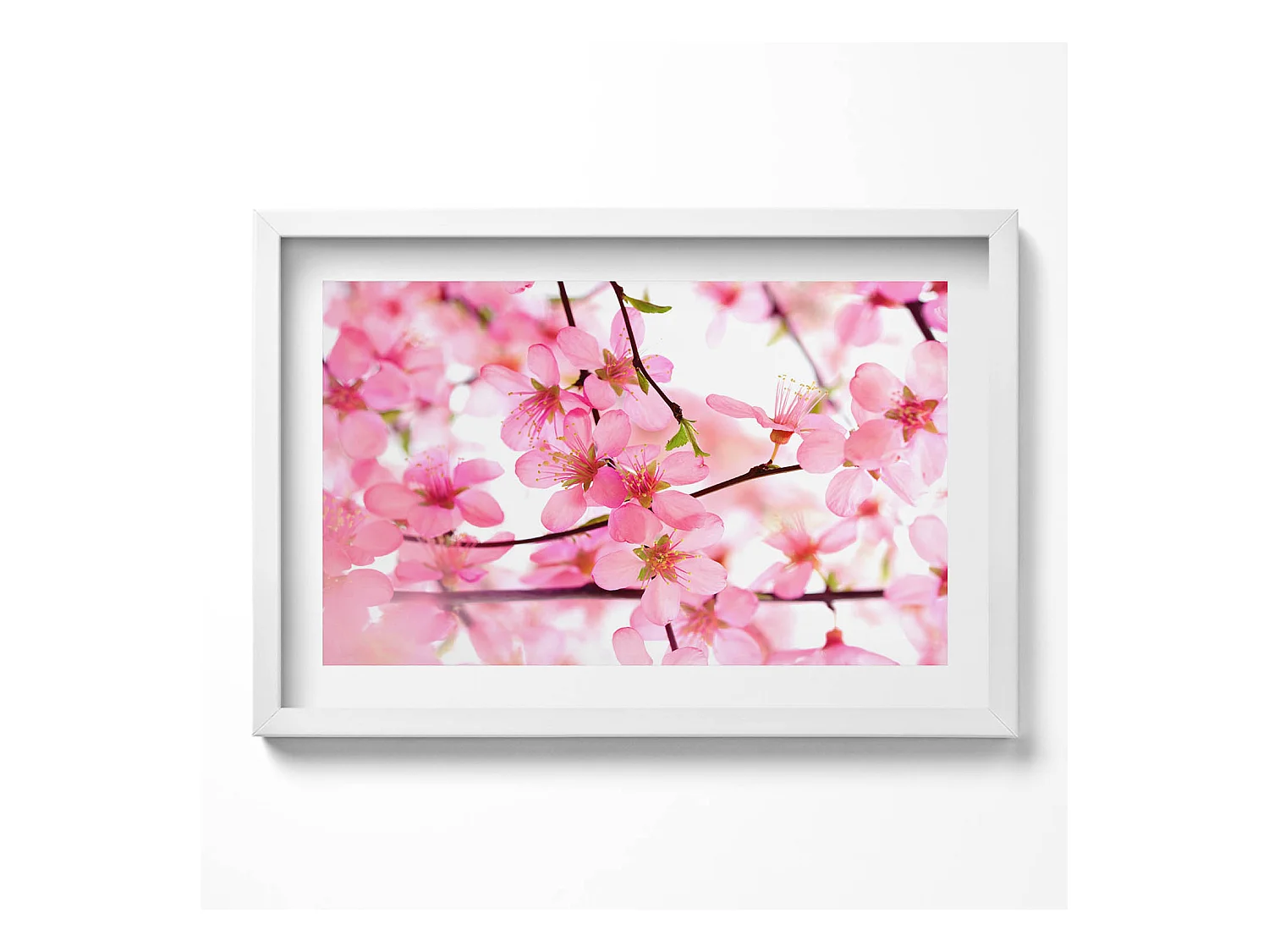 Tableau décoratif avec cadre blanc, Fleurs printanières roses sur les branches 60 x 40 cm– Parfait pour le salon ou la chambre