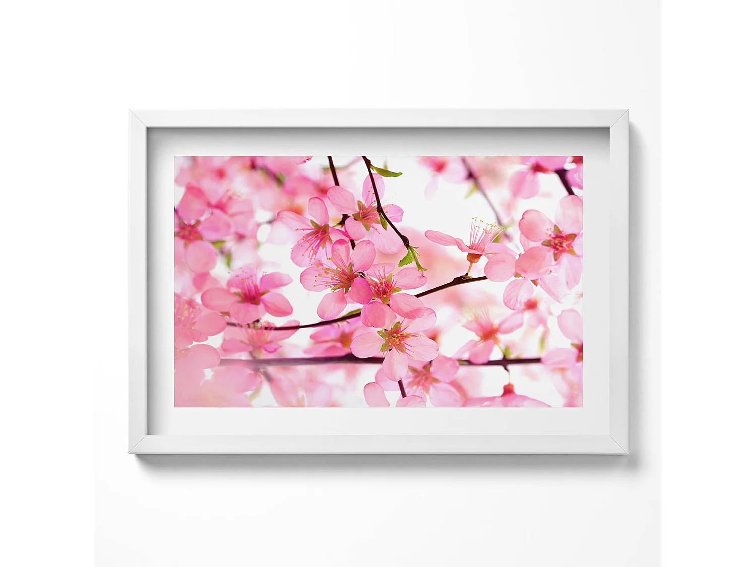 Tableau décoratif avec cadre blanc, Fleurs printanières roses sur les branches 60 x 40 cm– Parfait pour le salon ou la chambre
