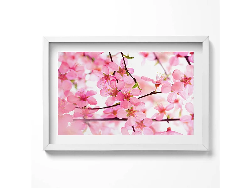 Dekoratives Gemälde mit weißem Rahmen, Rosa Frühlingsblumen auf den Zweigen 60 x 40 cm – Perfekt für das Wohn- oder Schlafzimmer
