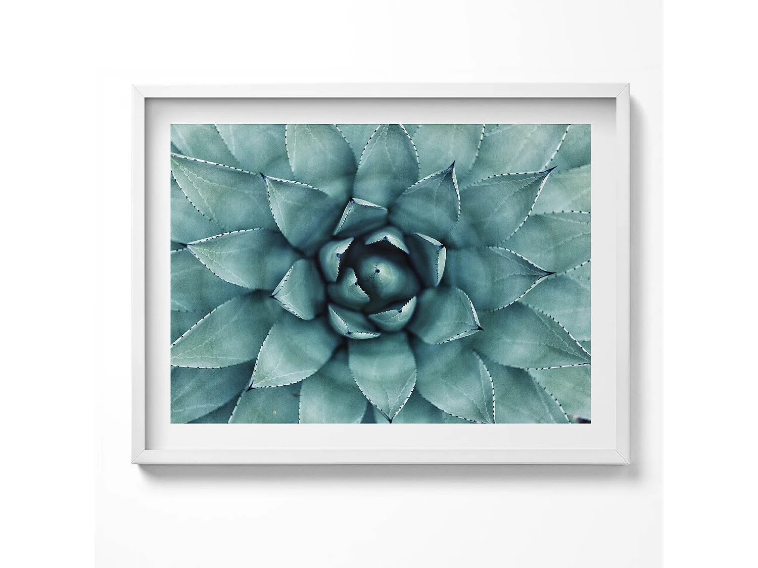 Dekoratives Gemälde mit weißem Rahmen, Grüne Sukkulente 80 x 60 cm – Perfekt für das Wohn- oder Schlafzimmer