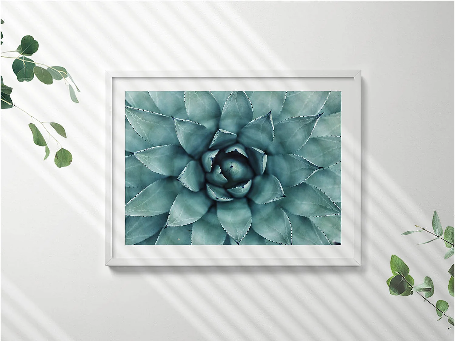 Dekoratives Gemälde mit weißem Rahmen, Grüne Sukkulente 80 x 60 cm – Perfekt für das Wohn- oder Schlafzimmer