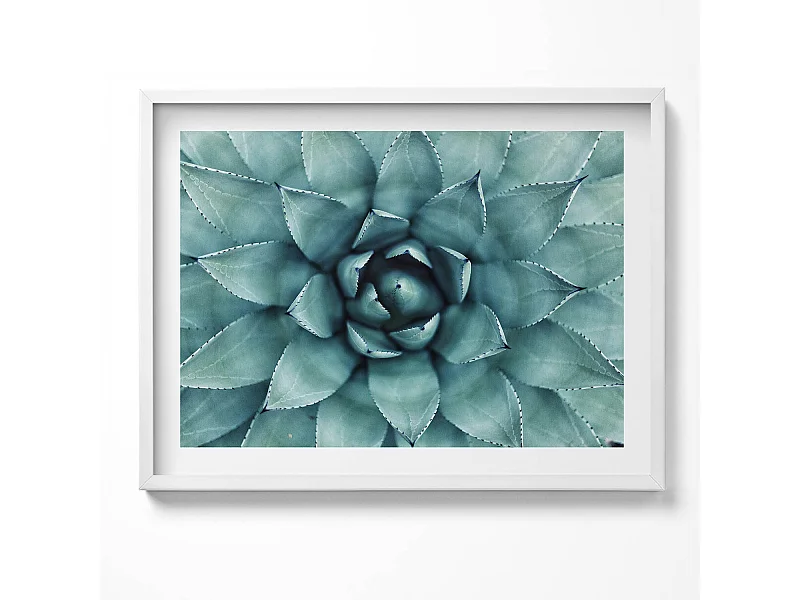 Dekoratives Gemälde mit weißem Rahmen, Grüne Sukkulente 80 x 60 cm – Perfekt für das Wohn- oder Schlafzimmer