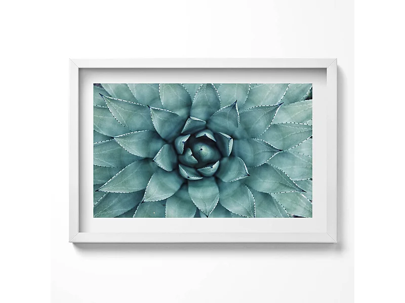 Decoratief schilderij met witte lijst, Groene vetplant 60 x 40 cm – Perfect voor de woon- of slaapkamer