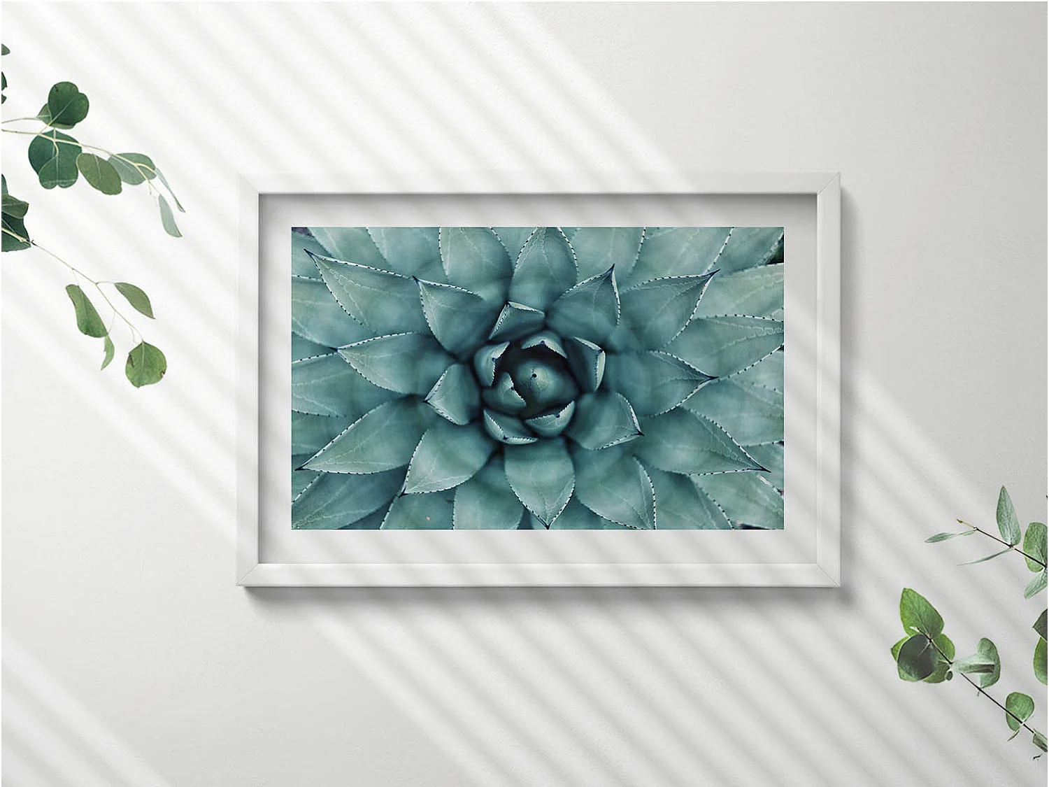 Dekoratives Gemälde mit weißem Rahmen, Grüne Sukkulente 60 x 40 cm – Perfekt für das Wohn- oder Schlafzimmer