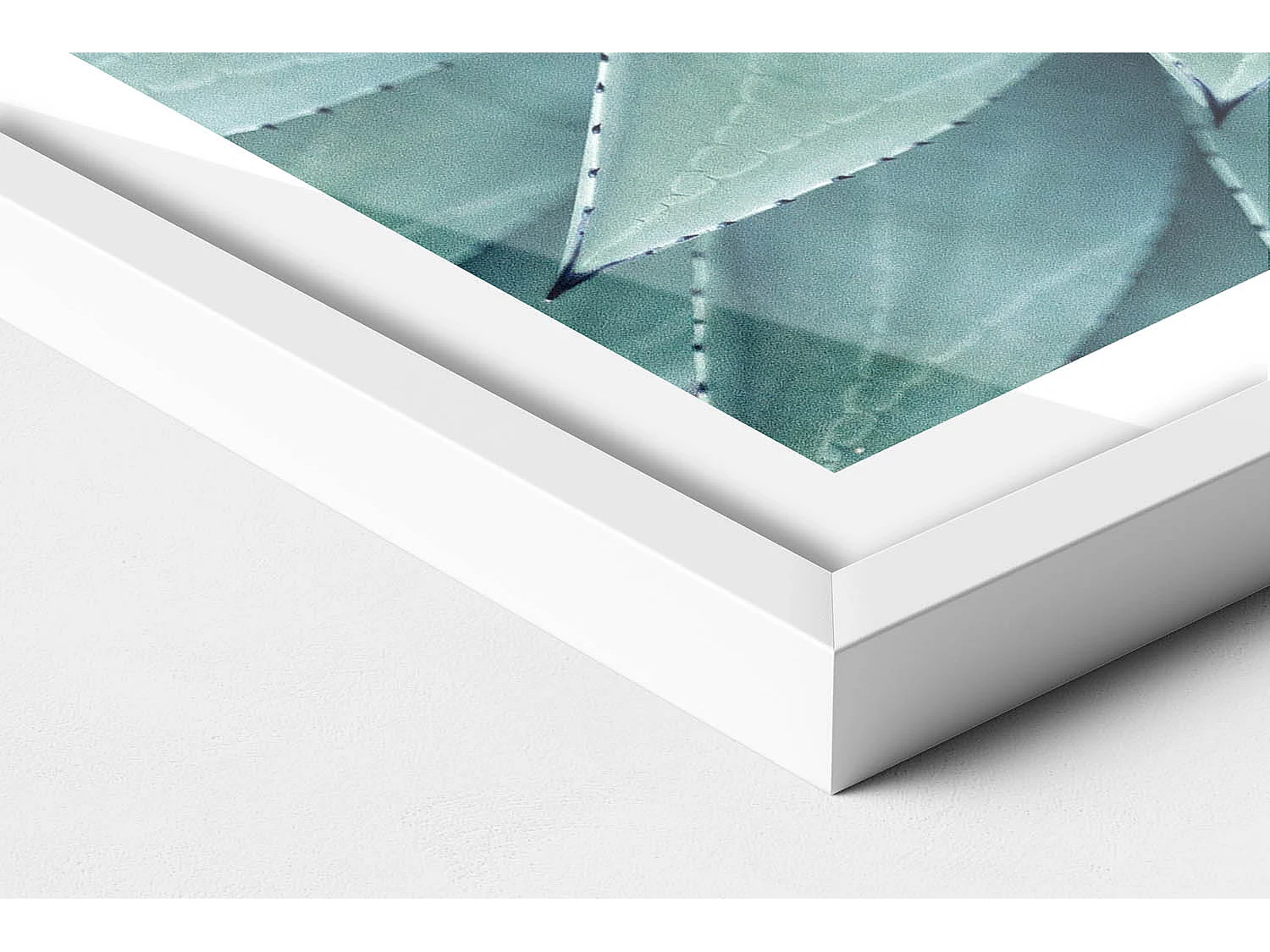 Dekoratives Gemälde mit weißem Rahmen, Grüne Sukkulente 60 x 40 cm – Perfekt für das Wohn- oder Schlafzimmer