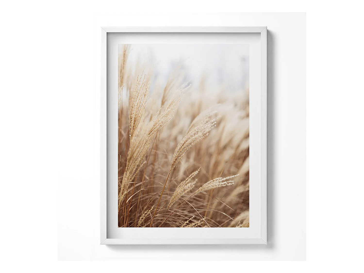Tableau décoratif avec cadre blanc, Céréales d'herbe de bohème nature 60 x 80 cm– Parfait pour le salon ou la chambre