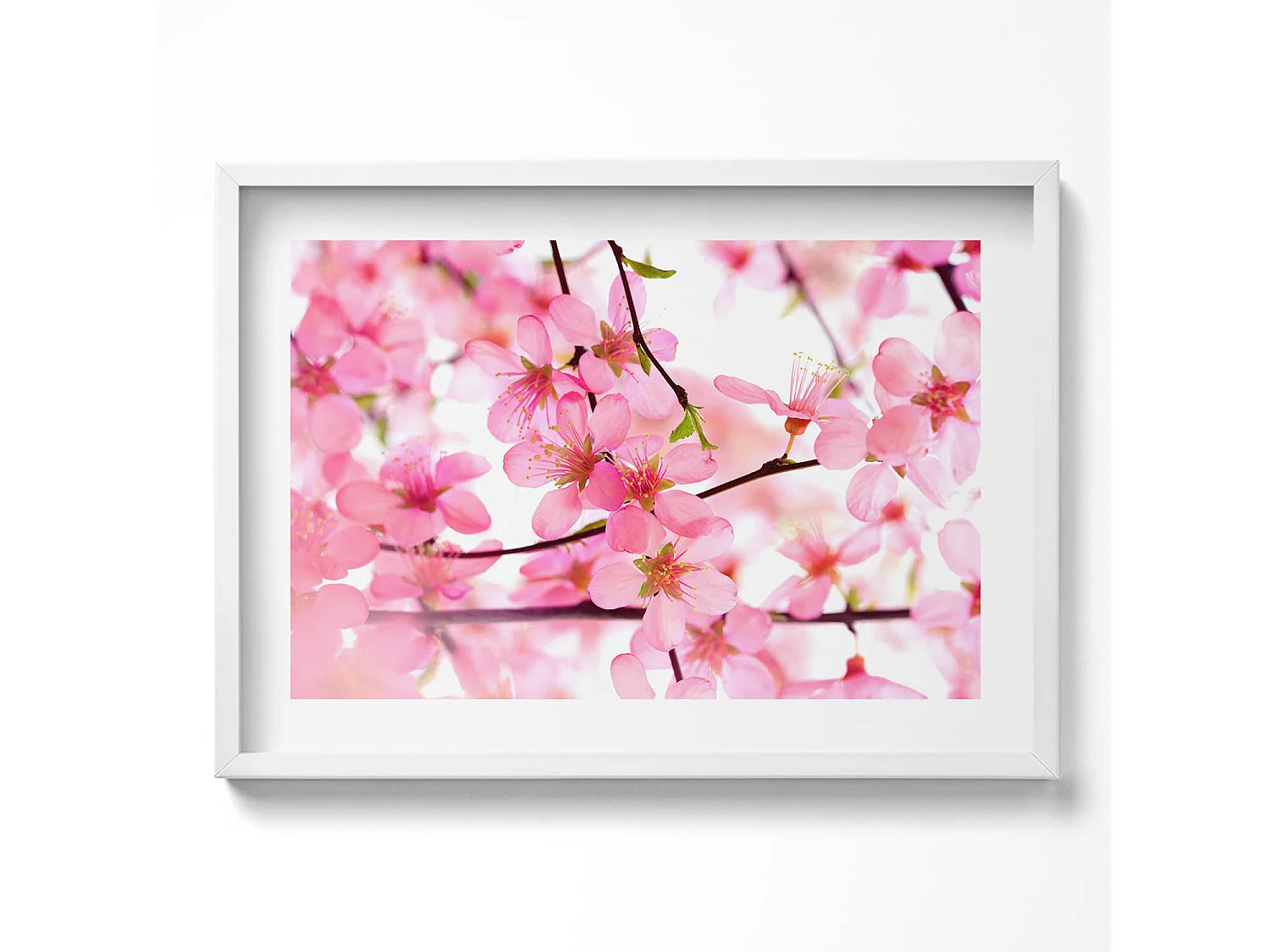 Dekoratives Gemälde mit weißem Rahmen, Rosa Frühlingsblumen auf den Zweigen 70 x 50 cm – Perfekt für das Wohn- oder Schlafzimmer