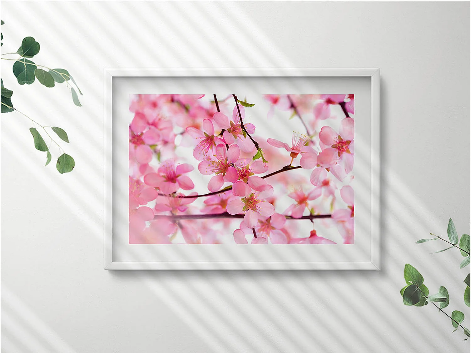 Dekoratives Gemälde mit weißem Rahmen, Rosa Frühlingsblumen auf den Zweigen 70 x 50 cm – Perfekt für das Wohn- oder Schlafzimmer