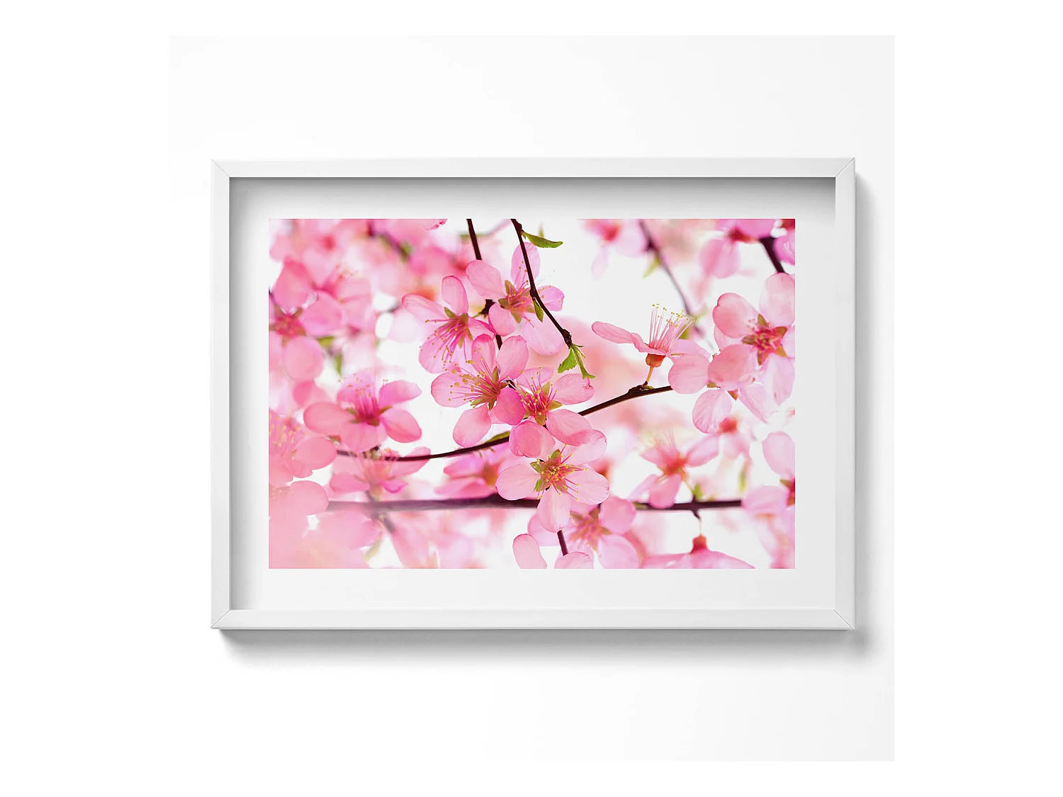 Tableau décoratif avec cadre blanc, Fleurs printanières roses sur les branches 70 x 50 cm– Parfait pour le salon ou la chambre