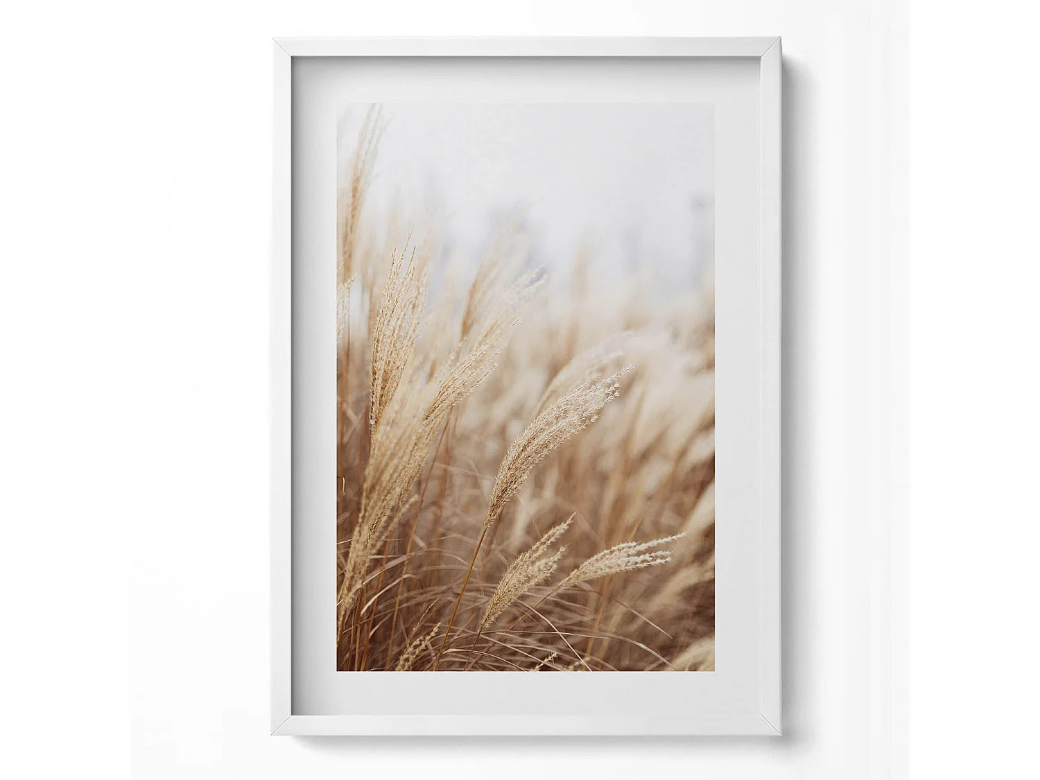 Tableau décoratif avec cadre blanc, Céréales d'herbe de bohème nature 50 x 70 cm– Parfait pour le salon ou la chambre