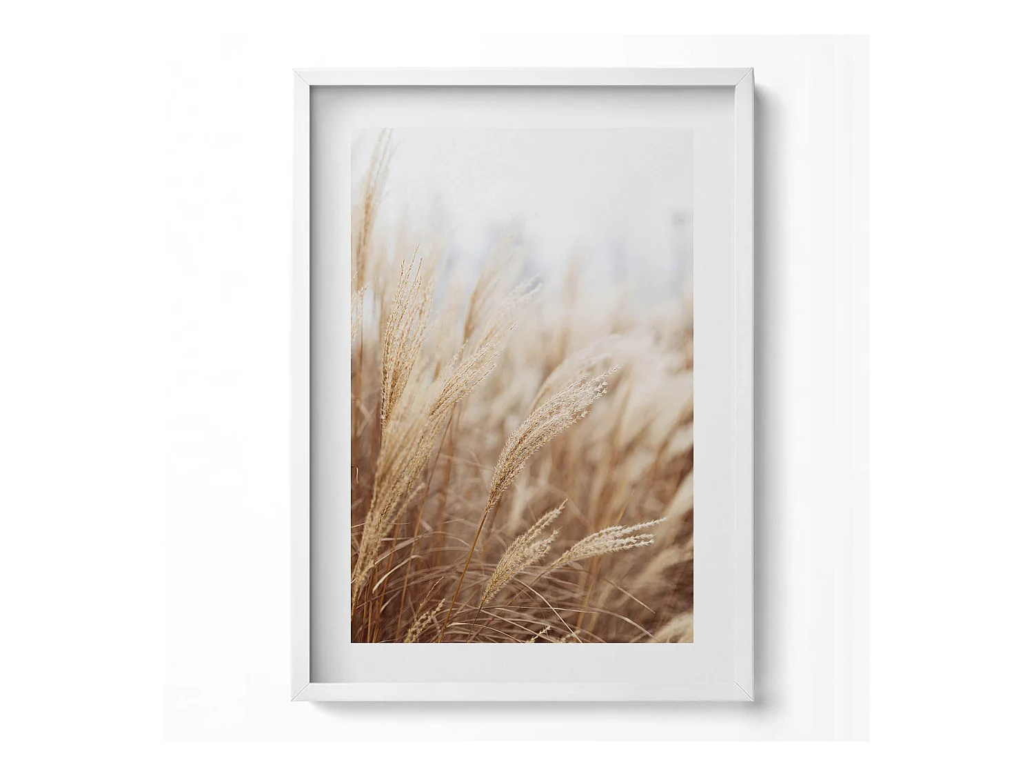 Tableau décoratif avec cadre blanc, Céréales d'herbe de bohème nature 50 x 70 cm– Parfait pour le salon ou la chambre