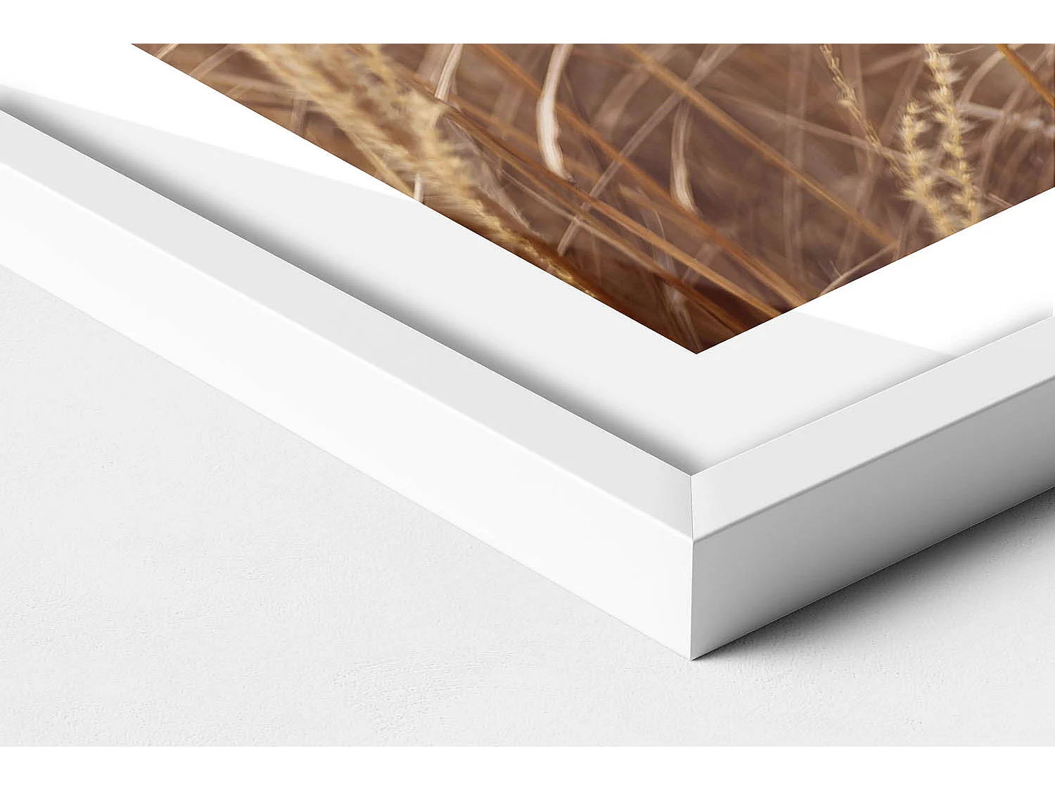 Tableau décoratif avec cadre blanc, Céréales d'herbe de bohème nature 50 x 70 cm– Parfait pour le salon ou la chambre