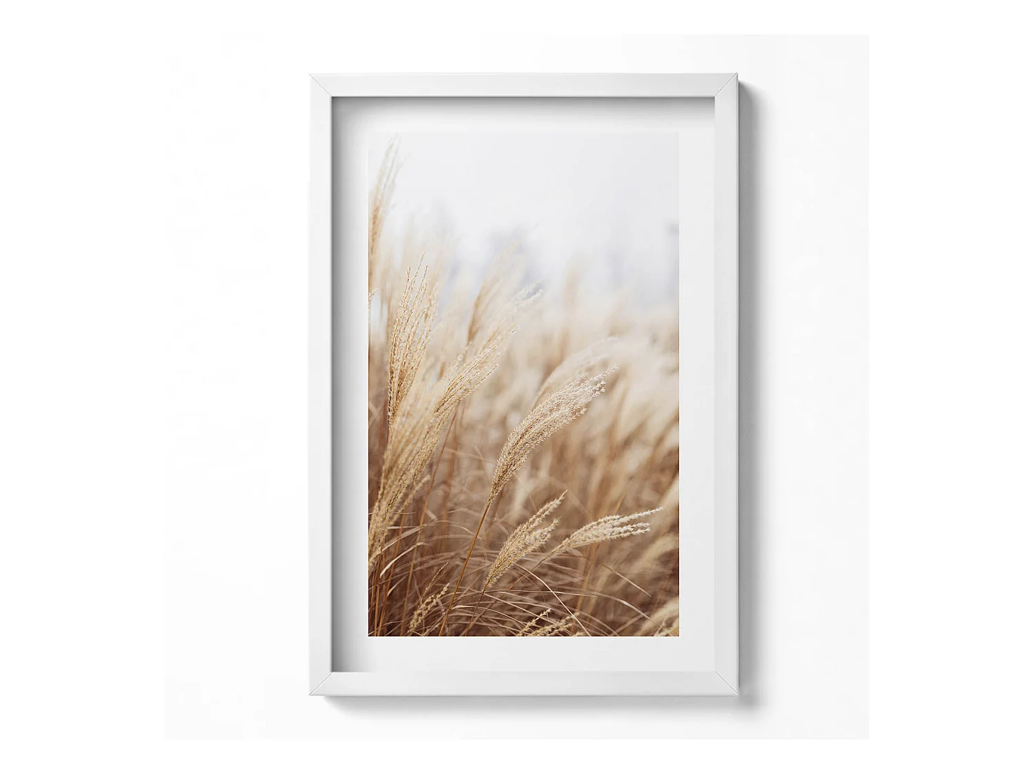 Tableau décoratif avec cadre blanc, Céréales d'herbe de bohème nature 40 x 60 cm– Parfait pour le salon ou la chambre