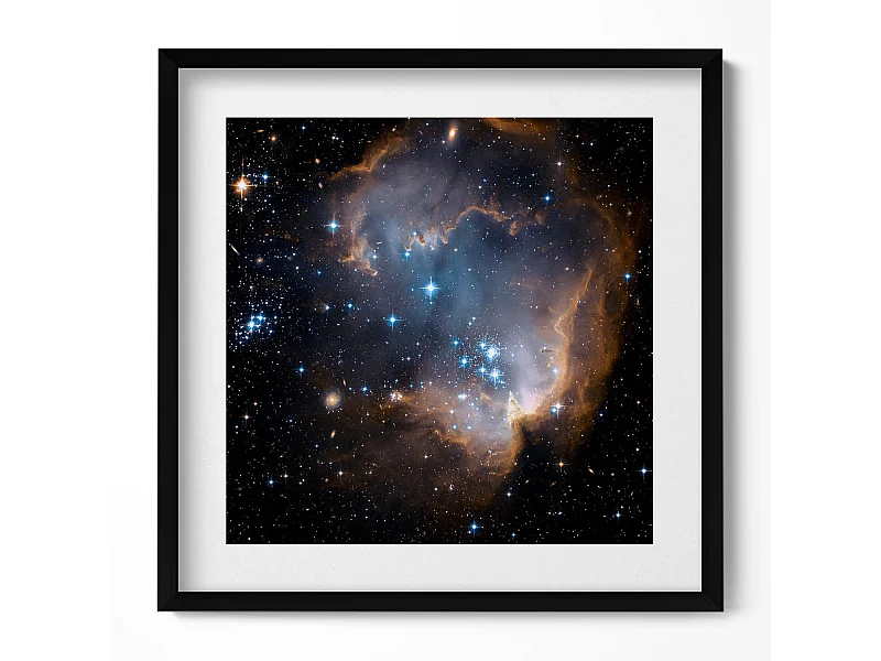 Dekoratives Gemälde mit schwarzem Rahmen, böhmischer Sonne und abstrakten Pflanzen 50 x 50 cm – Perfekt für das Wohn- oder Schlafzimmer