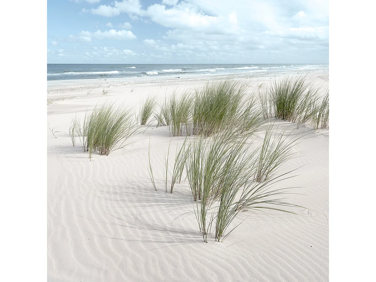 Tableau sur toile sandy beach vent 45x45 cm