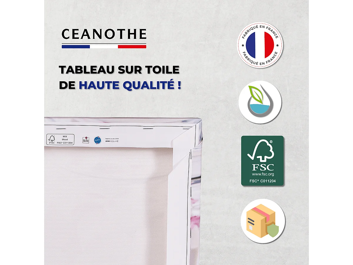 Tableau sur toile sandy beach vent 45x45 cm