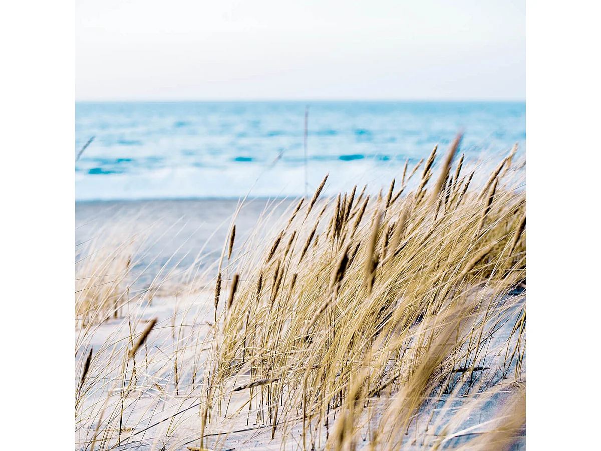Tableau sur verre sandy beach 30x30 cm