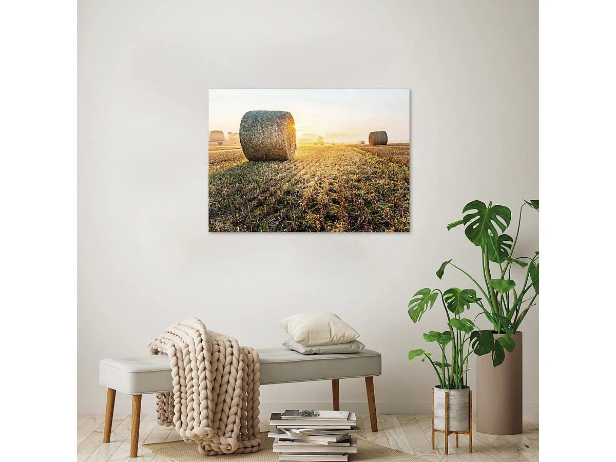 Tableau sur verre champs 45x65 cm