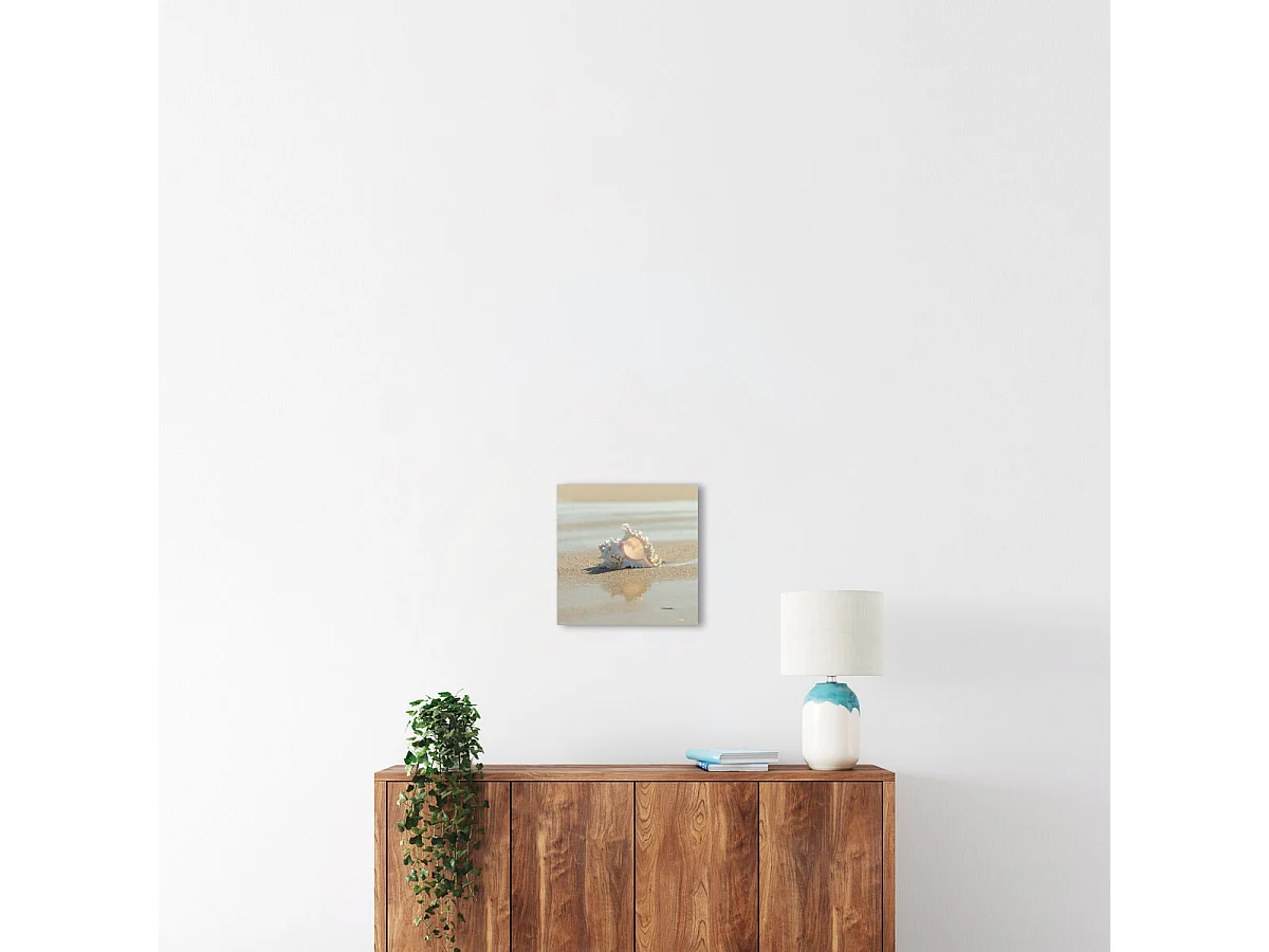 Tableau sur verre coquillage 30x30 cm