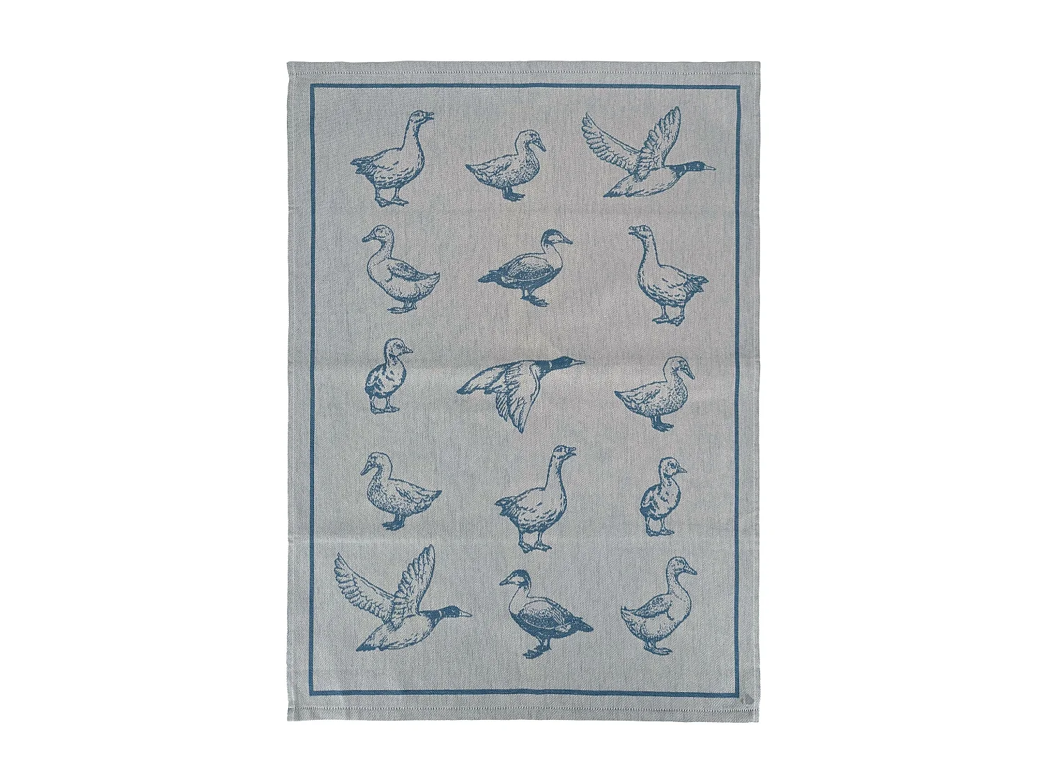 Lot de 2 torchons de cuisine 50x70 cm coton FRIENDS motif canards bleu