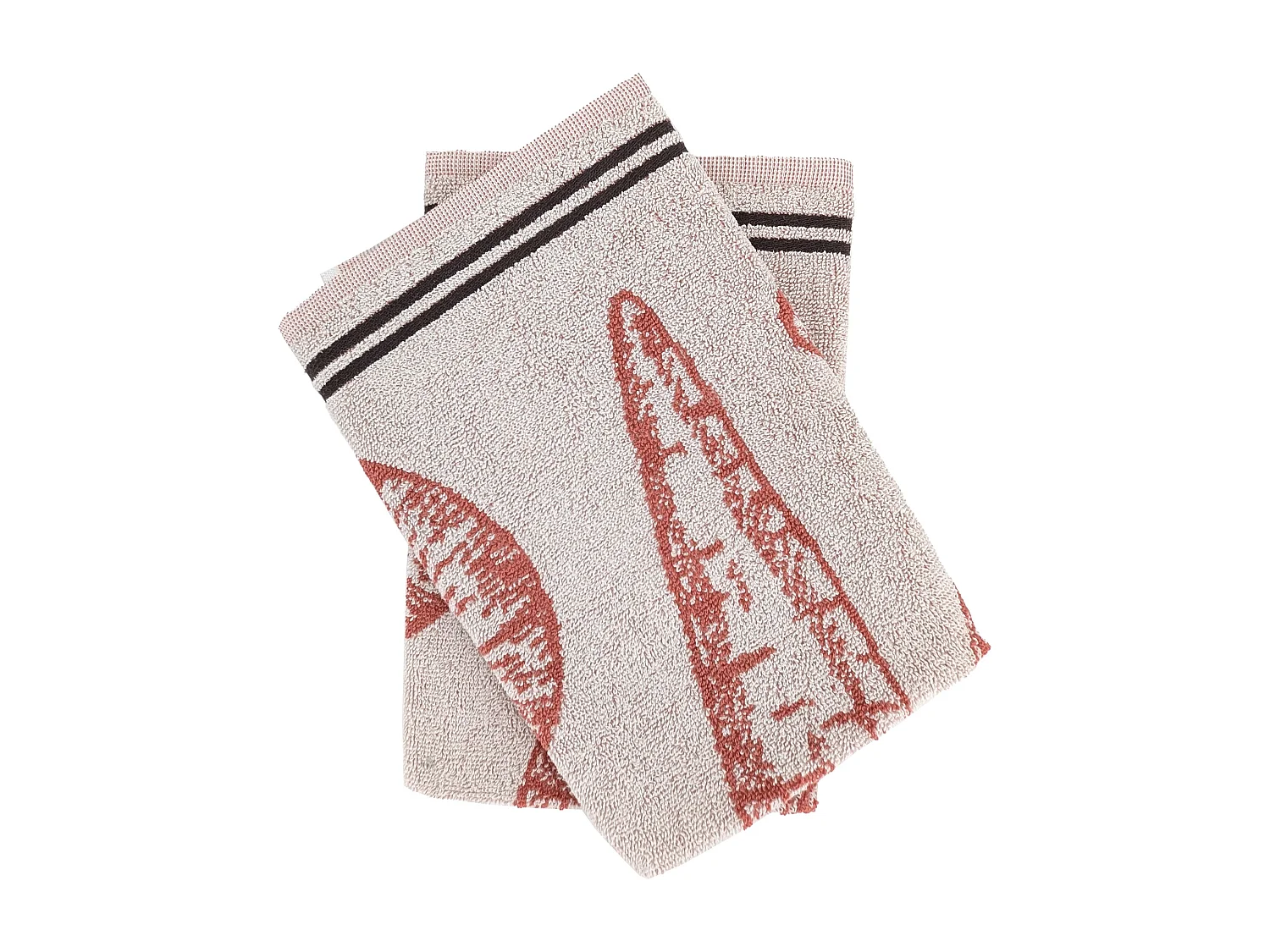 Lot de 2 torchons de cuisine éponge VEG 50x50 cm rouge Brique