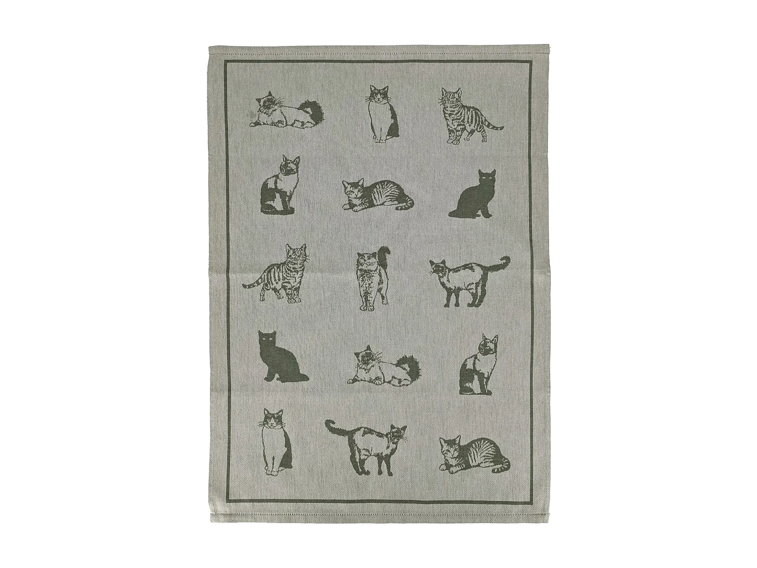 Lot de 2 torchons de cuisine 50x70 cm coton FRIENDS motif chats vert