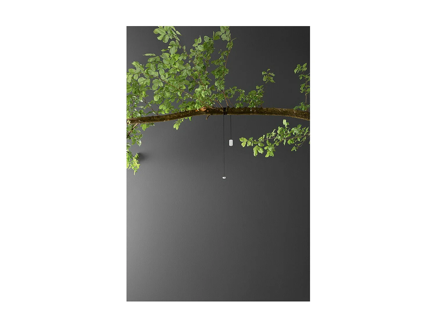 Kit sospensione mobile per SWAY MOOD Bianco - Accessorio con cordino