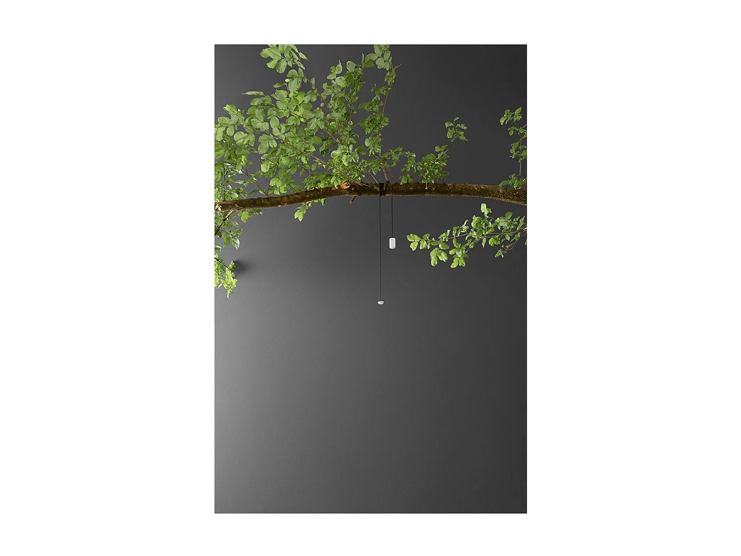 Kit de suspension mobile pour SWAY MOOD Blanc Accessoire avec cordon