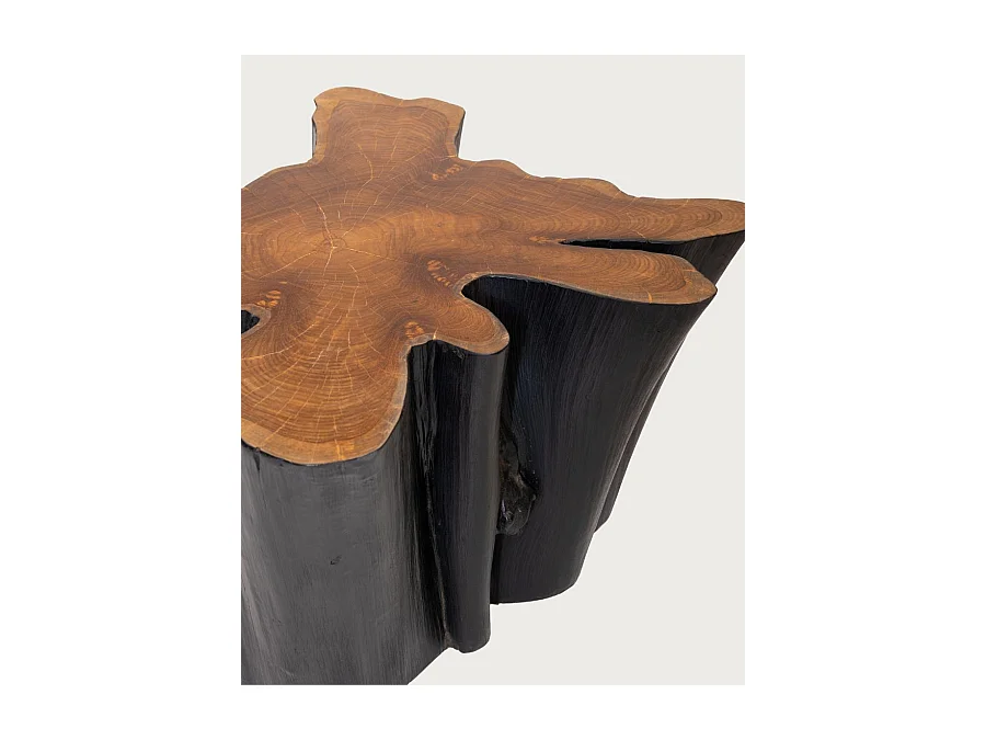 Timberly - Table basse tronc d'arbre massif