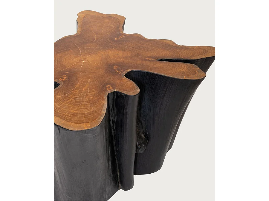 Timberly - Table basse tronc d'arbre massif