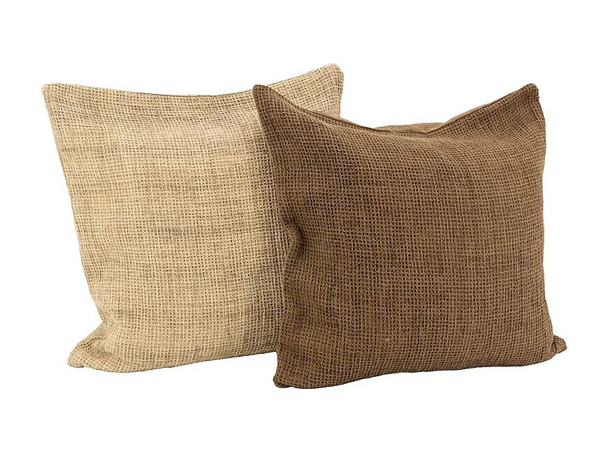 Coussins en coton et flex Lot de 2