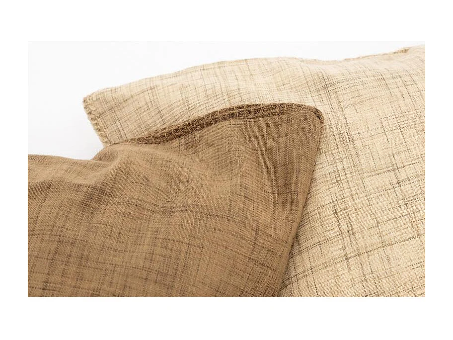 Coussins en coton et flex Lot de 2