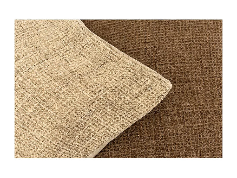 Coussins en coton et flex Lot de 2