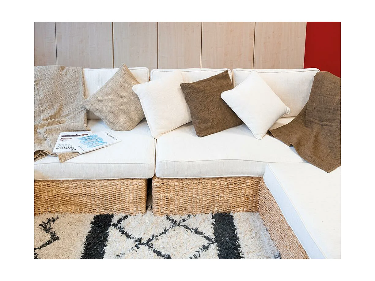 Coussins en coton et flex Lot de 2