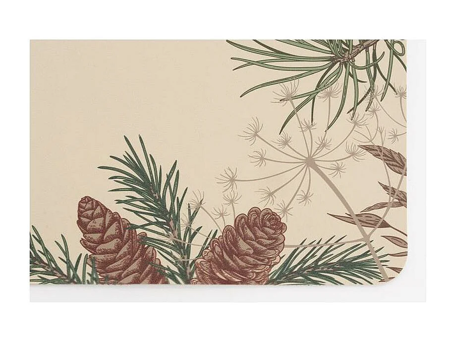 Sets de table en vinyle Pomme de pin