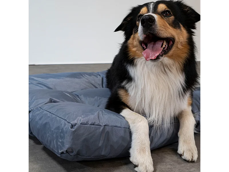 Panier chien déhoussable 110x85x10 cm BANANAIR gris