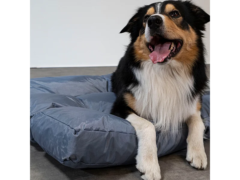 Panier chien déhoussable 110x85x10 cm BANANAIR gris