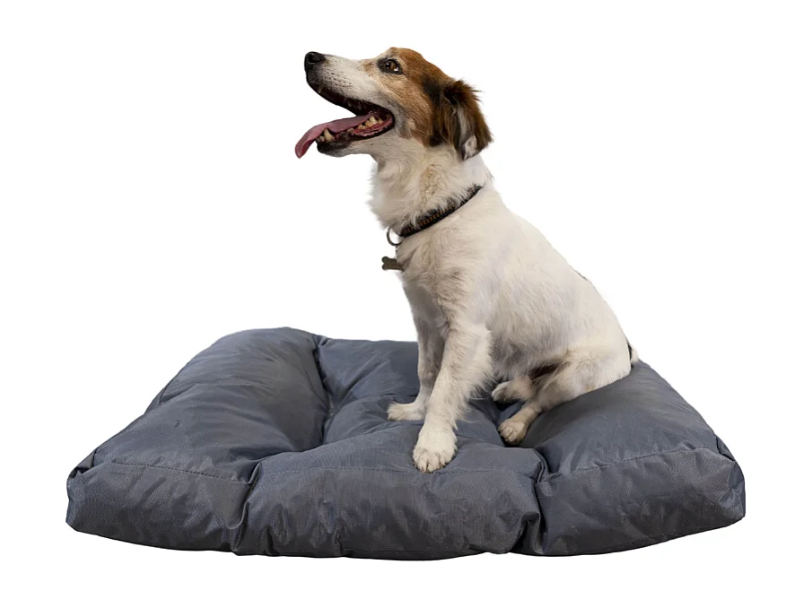 Panier chien déhoussable 75x50x10 cm BANANAIR gris