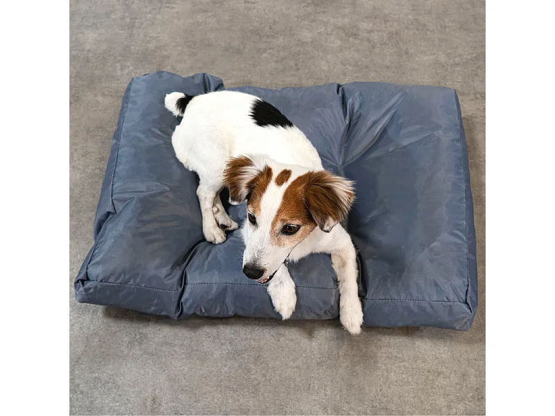 Panier chien déhoussable 75x50x10 cm BANANAIR gris