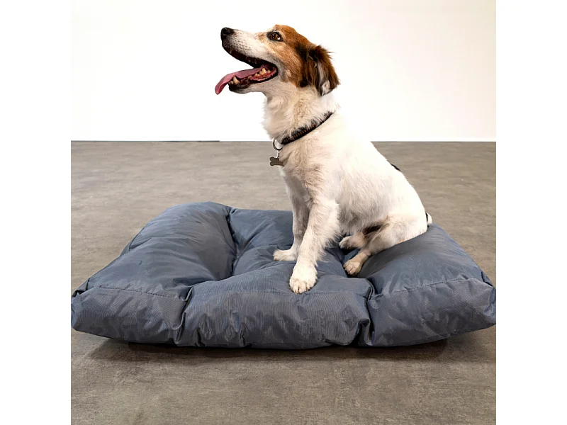 Panier chien déhoussable 75x50x10 cm BANANAIR gris