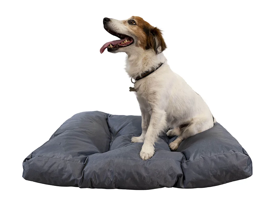 Panier chien déhoussable 75x50x10 cm BANANAIR gris