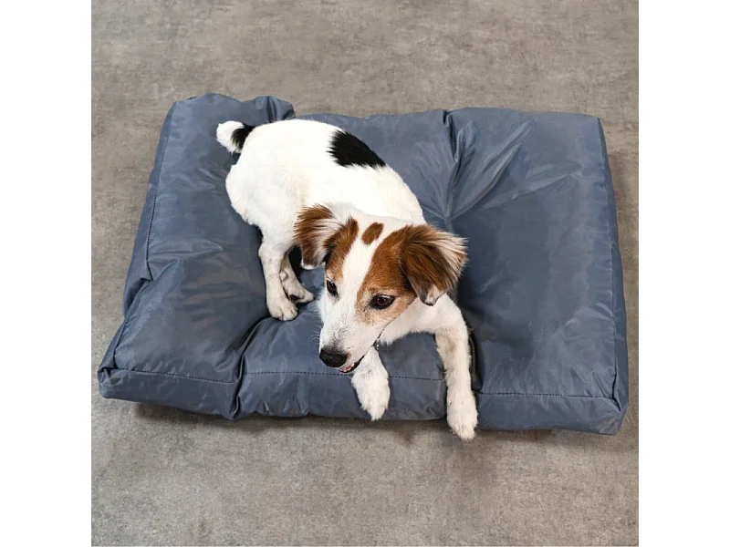 Panier chien déhoussable 75x50x10 cm BANANAIR gris