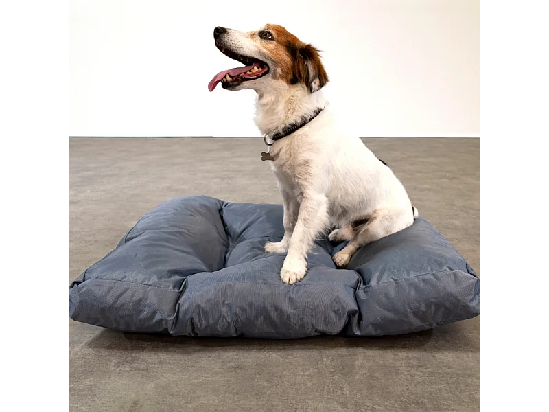 Panier chien déhoussable 75x50x10 cm BANANAIR gris