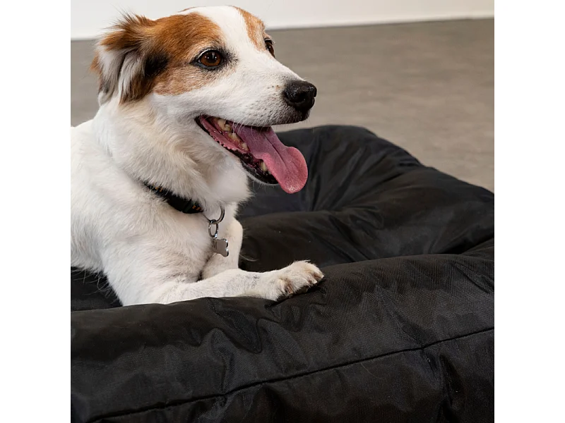 Hondenbed met afneembare hoes 90x65x10 cm BANANAIR zwart