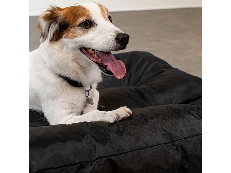 Abnehmbarer Hundekorb 90x65x10 cm BANANAIR schwarz