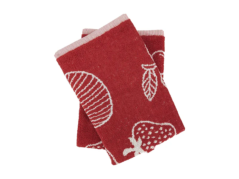 Lot de 2 torchons éponge FRUITFUL 50x50 cm orange Terracotta